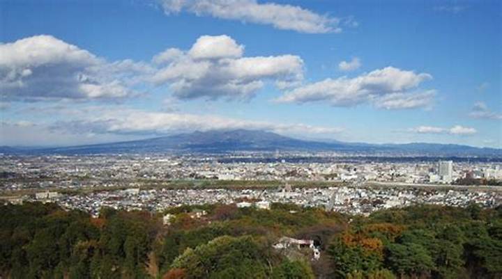 高崎ペットセンターの役割と実態｜動物保護・譲渡から防災対策まで徹底解説