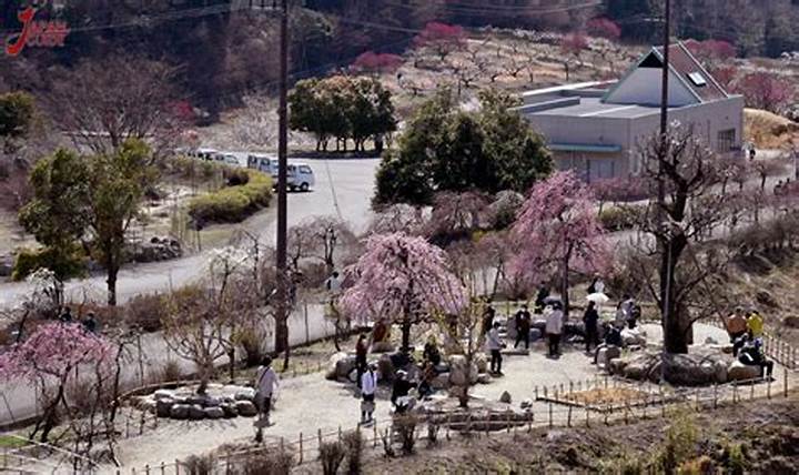 土岐市農業祭の熱気と味覚！採れたて直売・限定イベント攻略ガイド