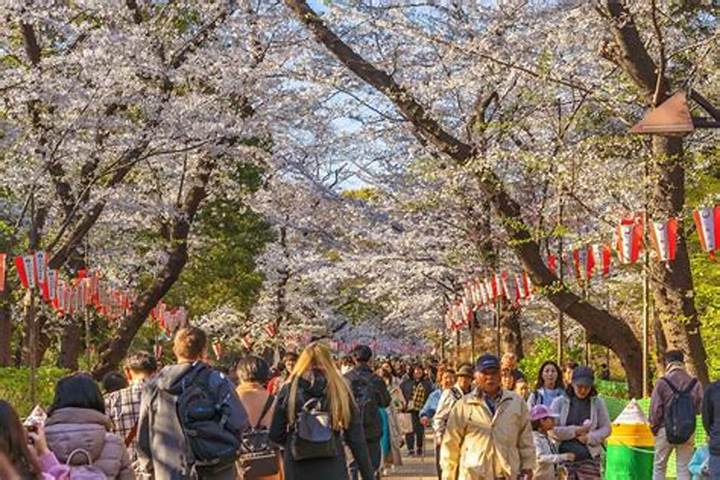 上野設備工業の闇と光 ～設備工業の真実と再評価～