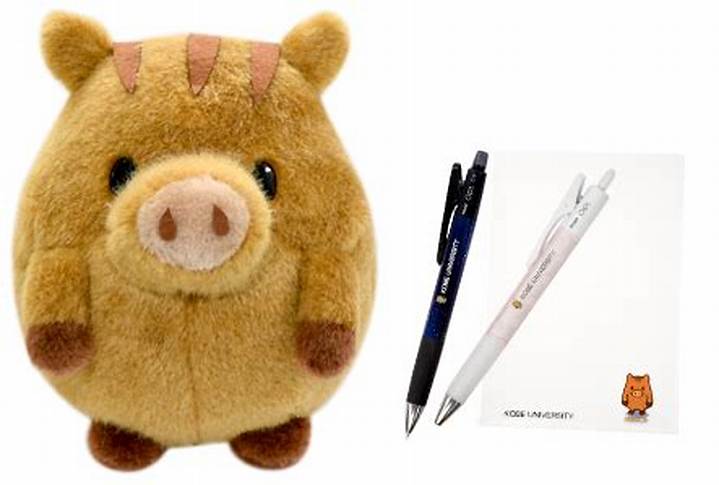 うりぼーねっととは？神戸大学生が知るべき使い方と注意点