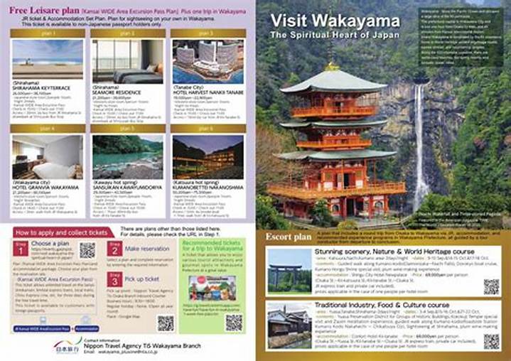 和歌山 ビギナーズ完全ガイド｜初めてでも迷わない定番ルート