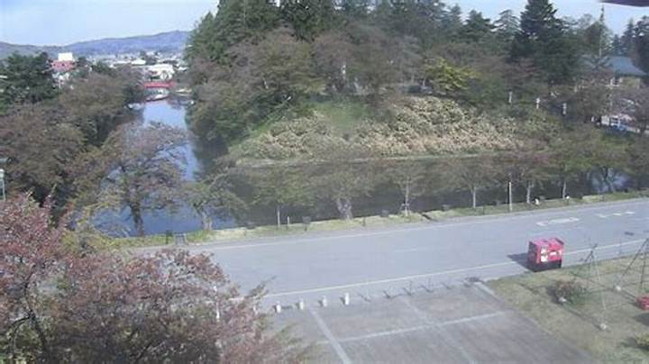 日本海の荒波を見極める！山形県漁協ライブカメラの活用法と酒田・由良・鼠ヶ関のリアルタイム海況