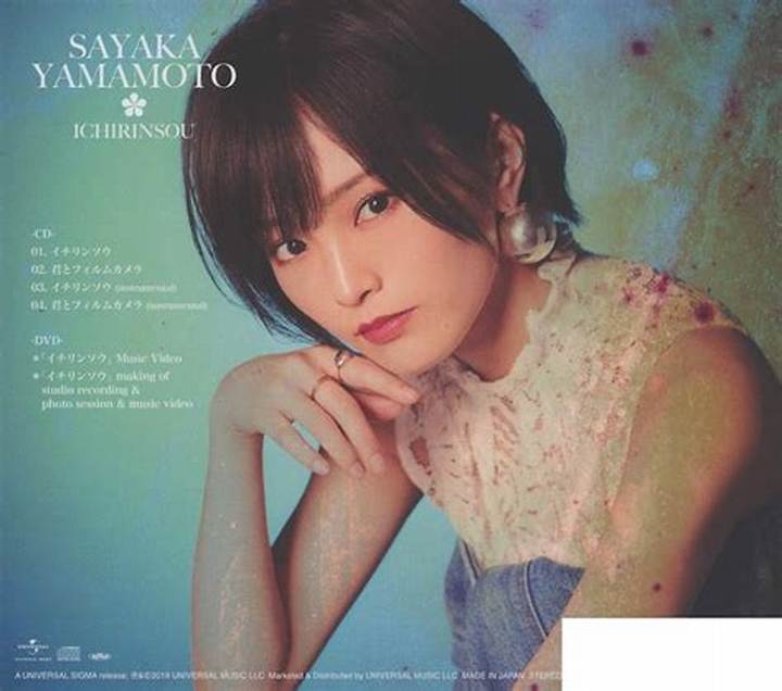 「山本 彩 エロ」で検索する前に知るべき公式情報と安全な見方