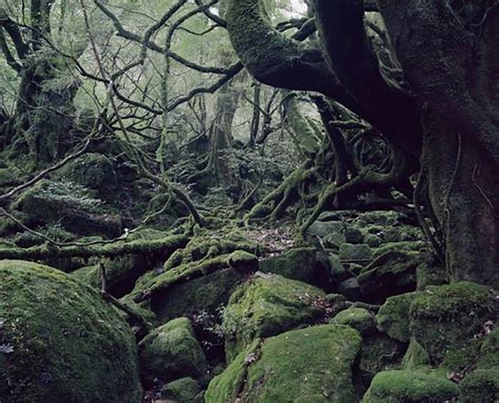 視線の深層：写真家・高木康行がレンズ越しに捉えた都市、自然、そして時代の静寂