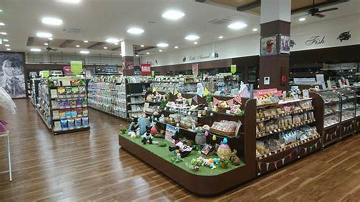 横浜のペット用品店が変える飼い主と動物の新しい関係