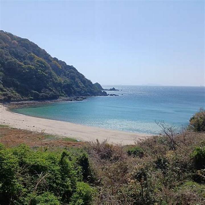 山口・吉母海水浴場の海の家を完全解剖！Beach Club Aquaの魅力と利用法