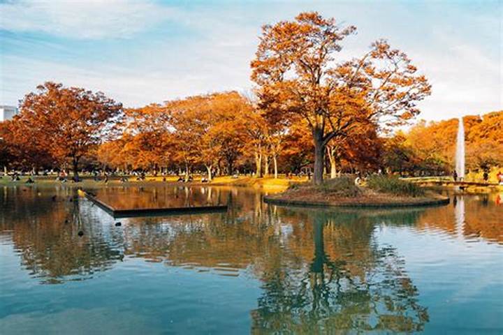 代々木公園の遊具で子供を笑顔に！おすすめポイントとアクセス